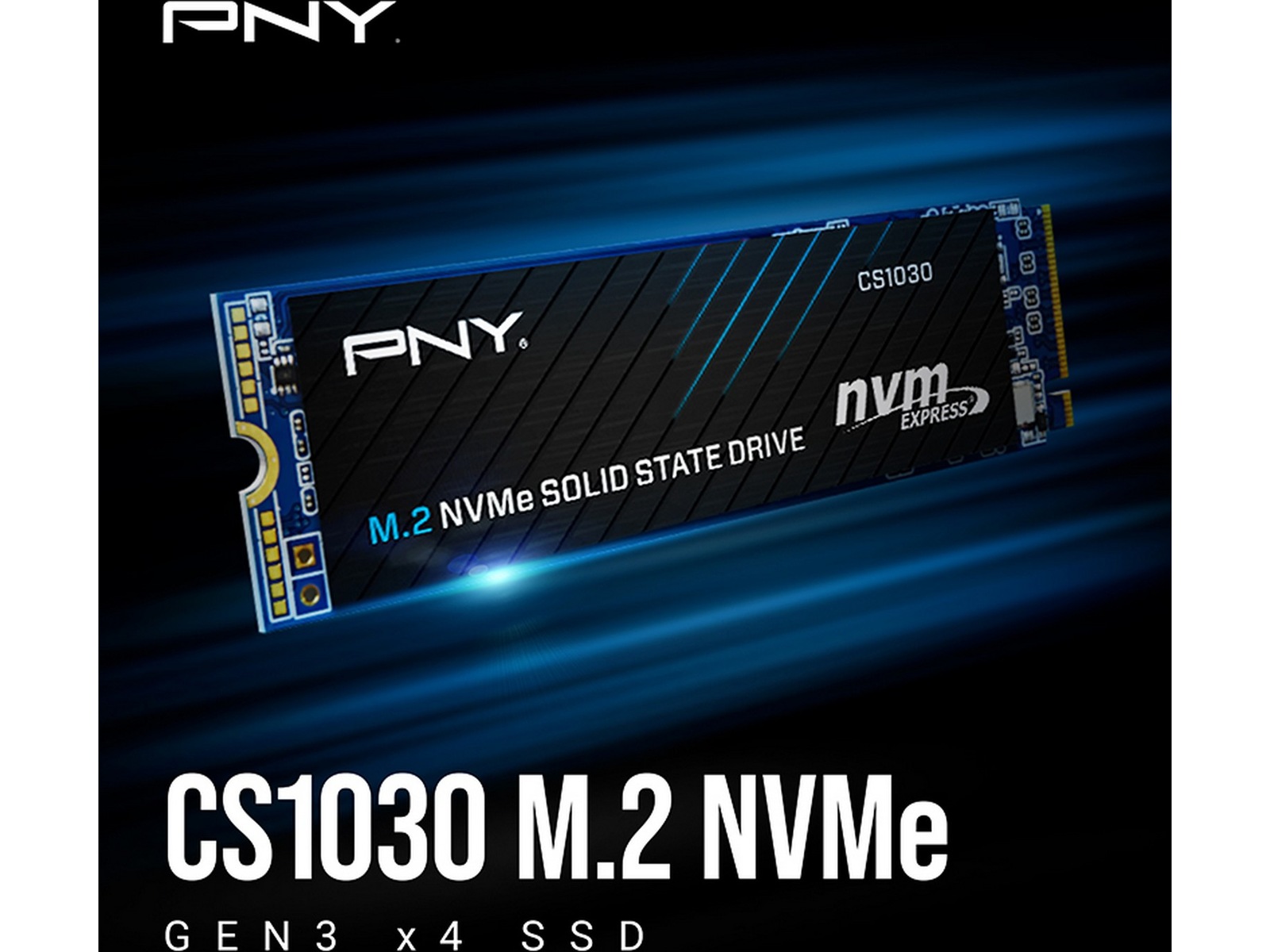 PNY CS1030 M.2 NVMe SSD 250GB SSD M.2
