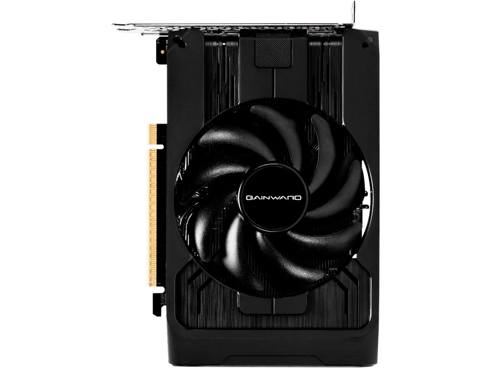 Gainward GeForce RTX 5050 Pegasus Grafikkort