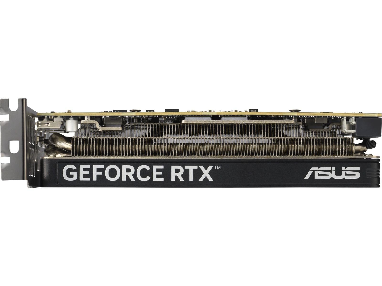 Asus GeForce RTX 5060 LP BRK OC Grafikkort
