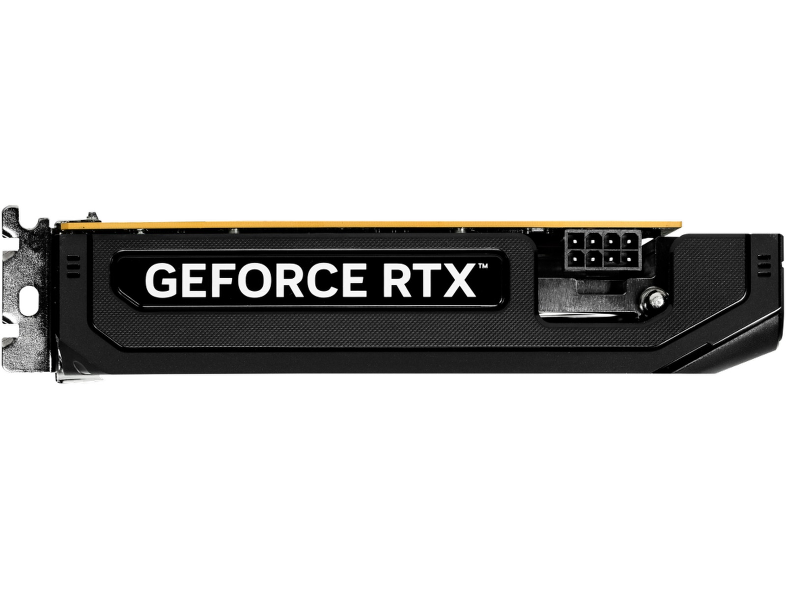 Gainward GeForce RTX 5050 Pegasus Grafikkort
