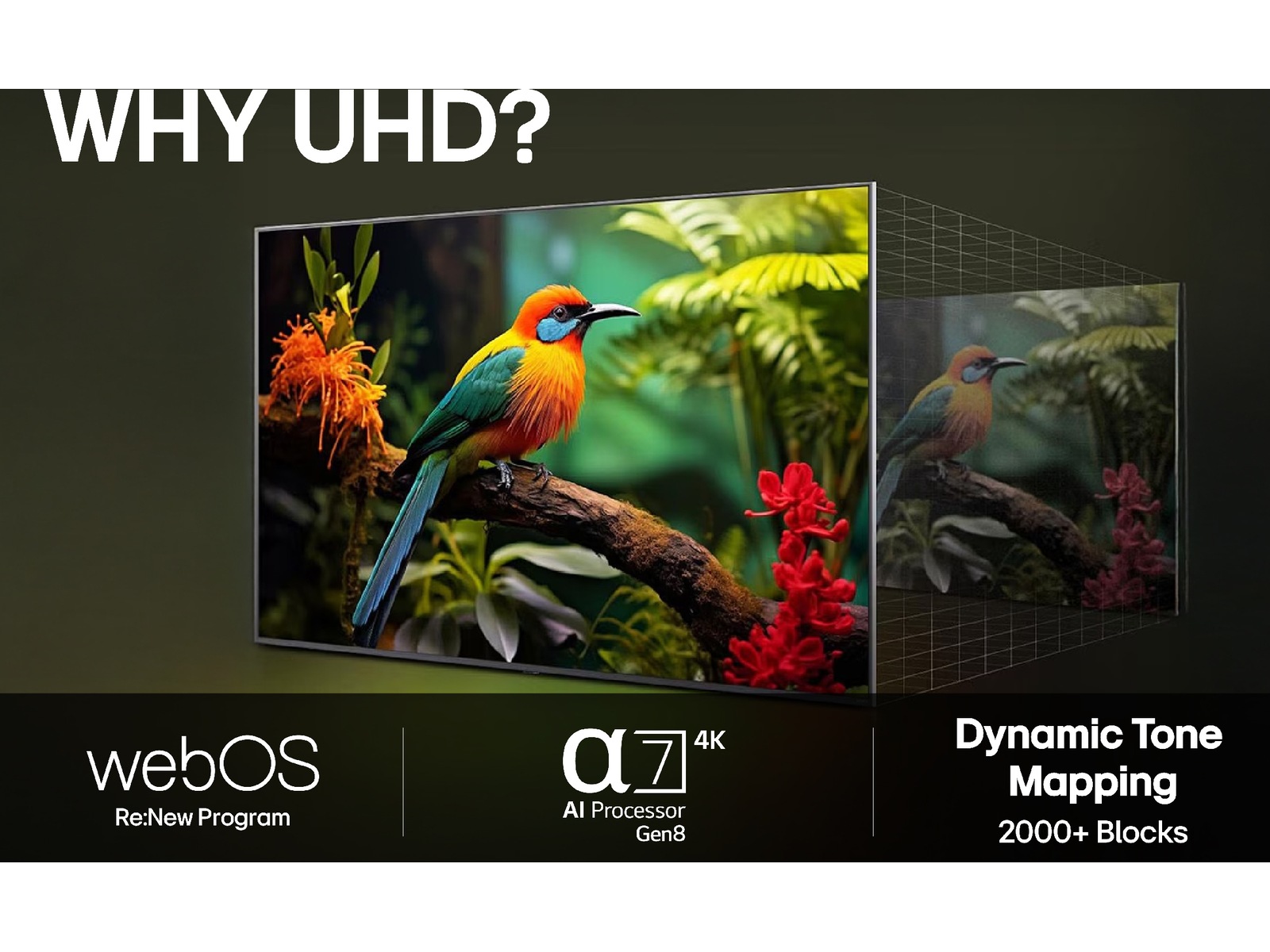 LG 75'' UA75 AI 4k smart-TV (2025) 70 - 79 tums TV