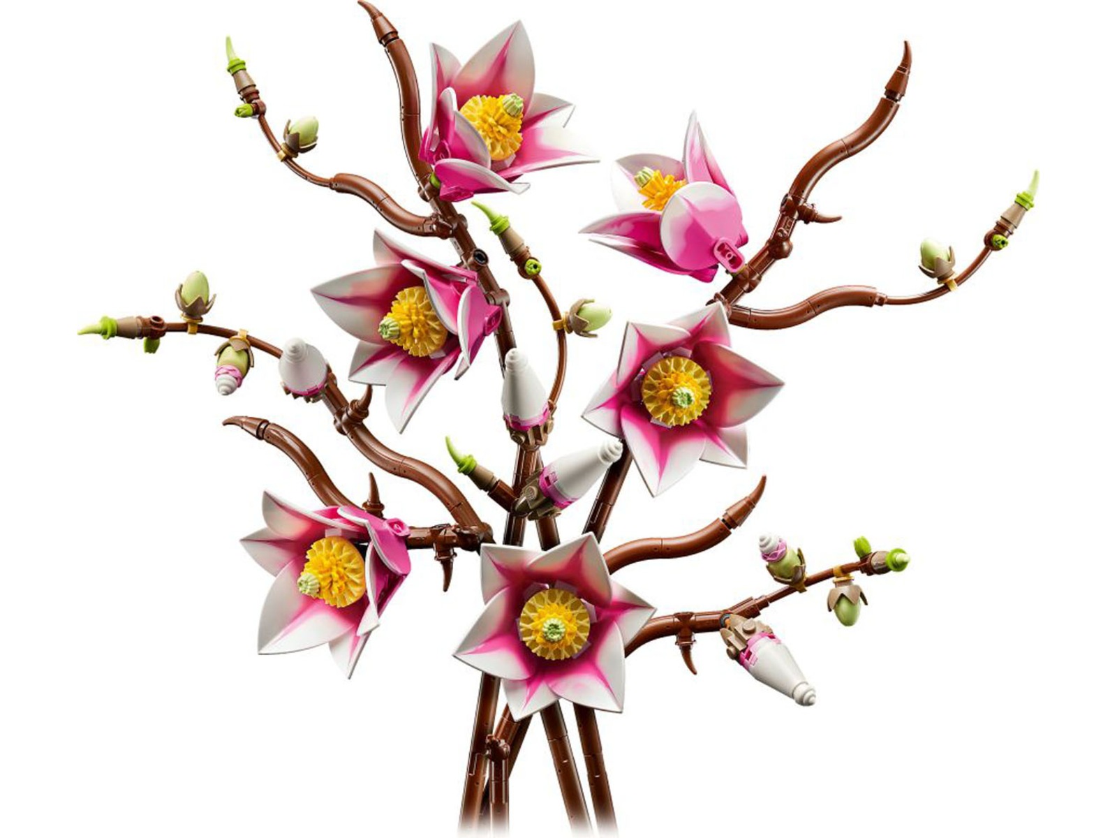 LEGO Botanicals magnoliagrenar 11510 LEGO