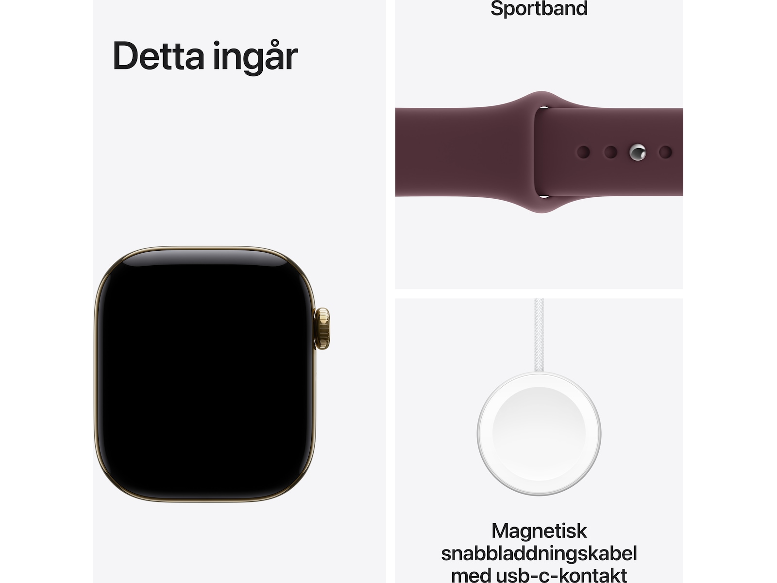 Apple Watch Series 12 GPS + LTE 42mm Titan (radiant gold) Smartwatches