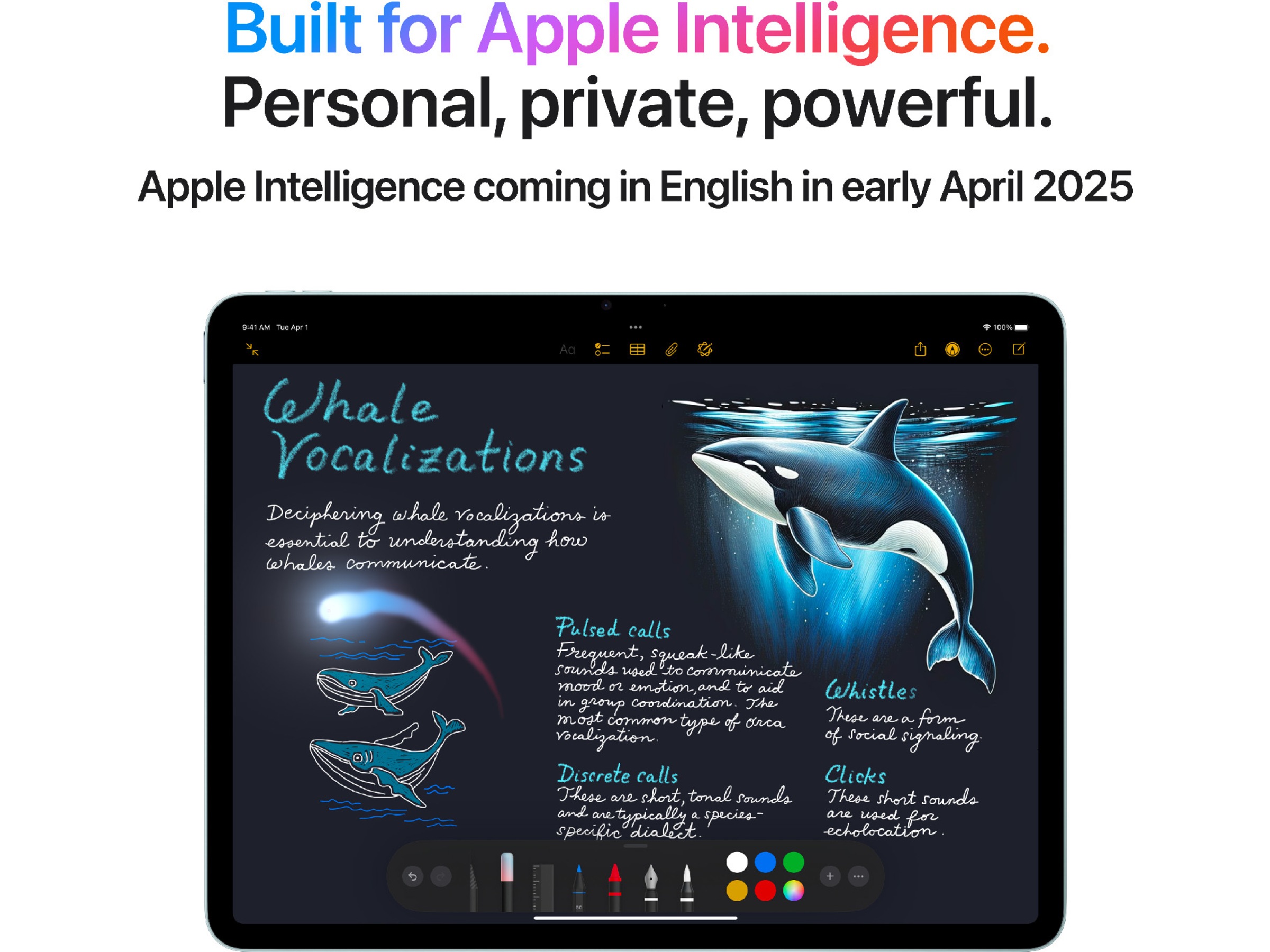 iPad Air 13" (2025) 512GB WiFi (stellargrå) Surfplattor