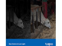 TP-Link Tapo C320WS 2K WiFi Camera Outdoor (vit) Övervakningskamera