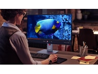 Lenovo 34" skärm ThinkVision P34WD-40 Bildskärmar