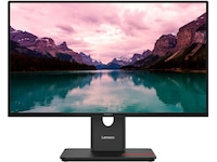 Lenovo 24" skärm ThinkVision T24-40 Bildskärmar