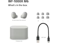 Sony WF-1000XM6 trådlösa öronproppar med brusreducering (Platinum Silver) In-ear hörlurar