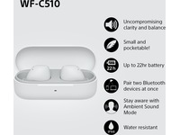 Sony WH-1000XM5 trådlösa hörlurar, over-ear (silver) + WF-510 öronsnäckor Hörlurar