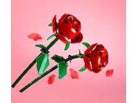 LEGO Botanicals Rosor 40460 LEGO