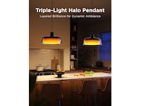 Govee Pendant Light smart taklampa Taklampa