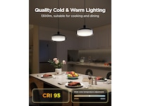 Govee Pendant Light smart taklampa Taklampa