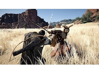 Crimson Desert Spel till Xbox Series X/S