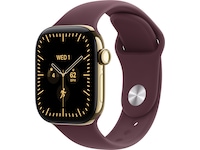 Apple Watch Series 12 GPS + LTE 42mm Titan (radiant gold) Smartwatches