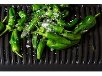 OBH Nordica Optigrill+ XL Övriga köksapparater