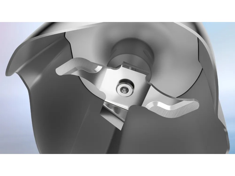 Bosch MSM6M81X1 Miksestav (rostfritt stål) Stavmixers & elvispar