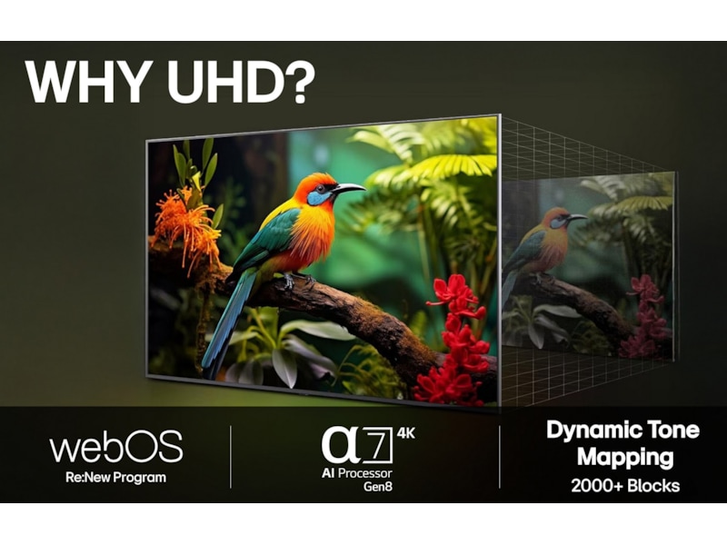 LG 65" UA73 AI 4K UHD smart-TV (2025) 60 - 69 tums TV