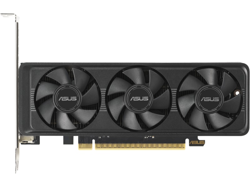 Asus GeForce RTX 5060 LP BRK OC Grafikkort