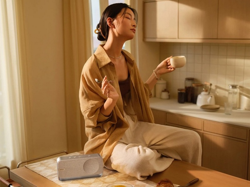 Bose SoundLink Home trådløs Bluetooth-højttaler (lys sølv) Trådlös / Bluetooth högtalare