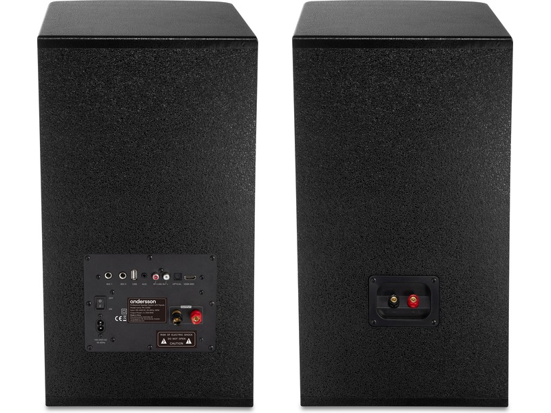 Andersson PA-system 300W Bluetooth 5.3 Högtalare