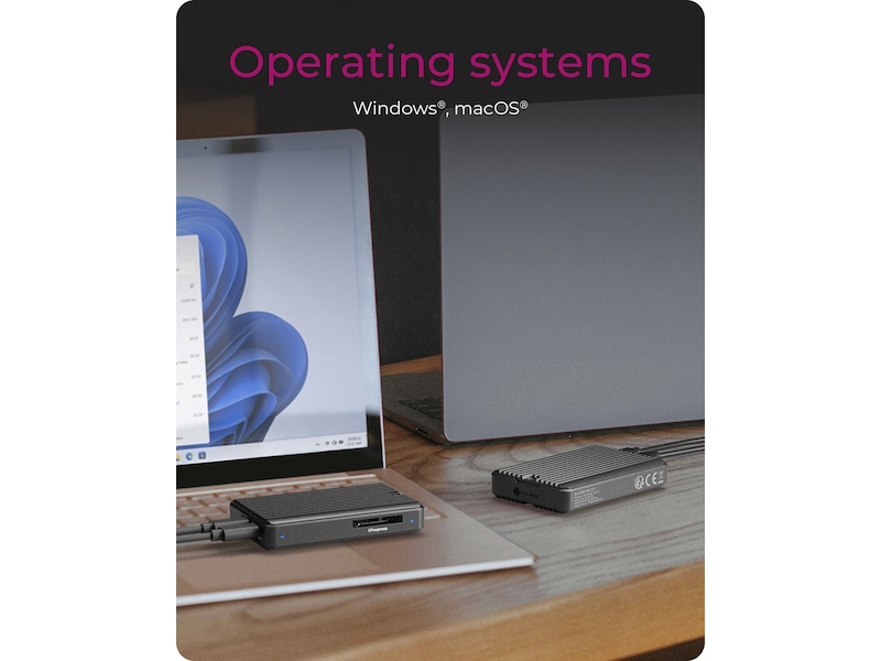 ICY BOX M.2 SSD Enclosure Externa Chassi