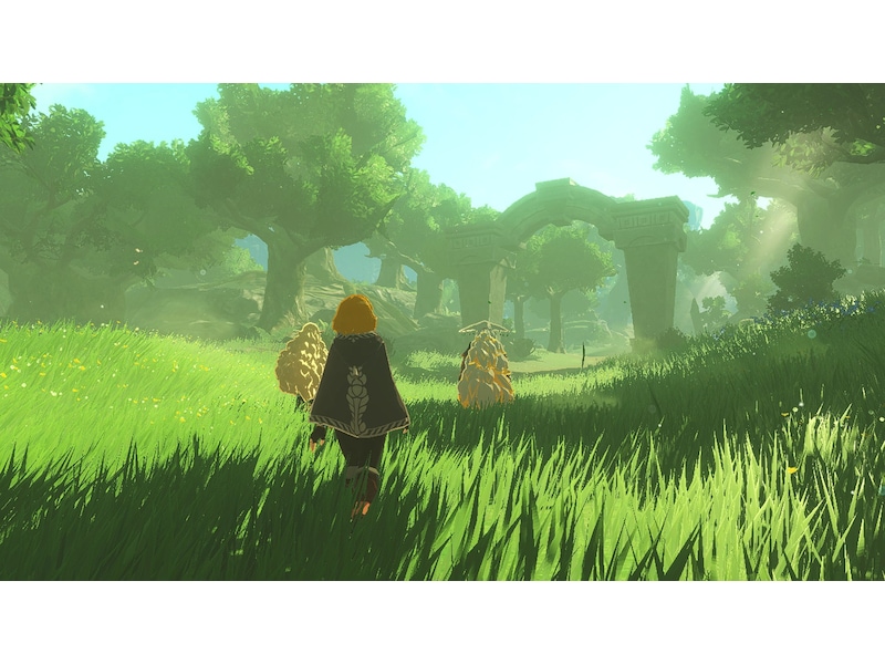 Hyrule Warriors: Age of Imprisonment Switch 2 Spill till Nintendo Switch 2