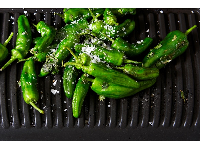 OBH Nordica Optigrill+ XL Övriga köksapparater