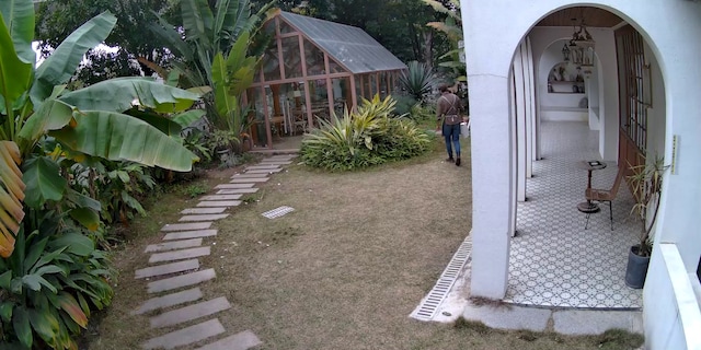 daytime vision daytime vision