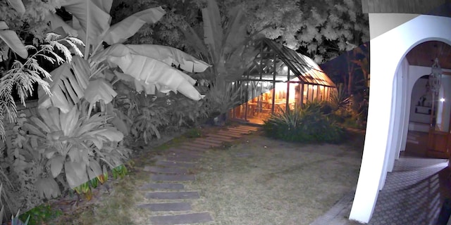 spotlight & black and white vision split image spotlight & black and white vision split image