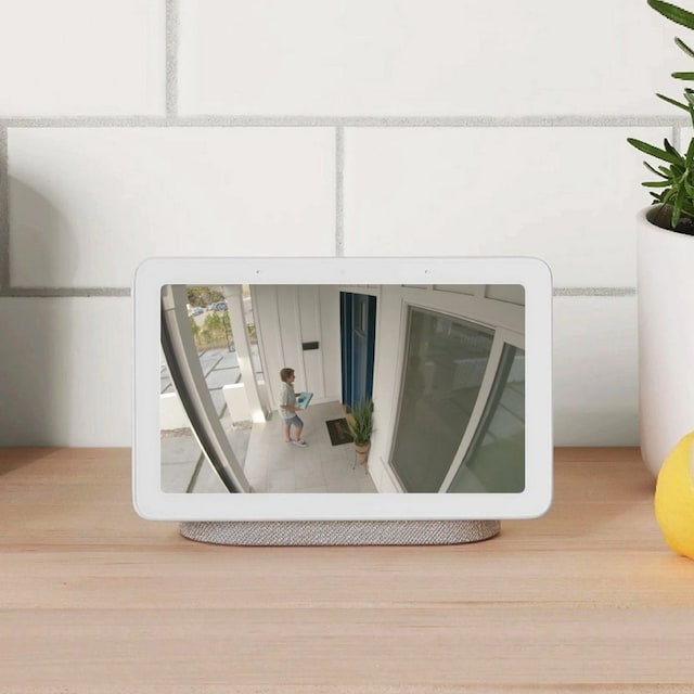 google aleza google aleza