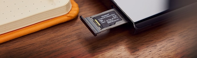 Kingston Canvas Kingston Canvas