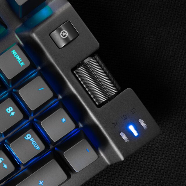 Svive Oberon Svive Oberon