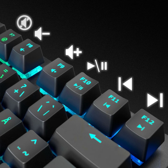 Svive Oberon Svive Oberon