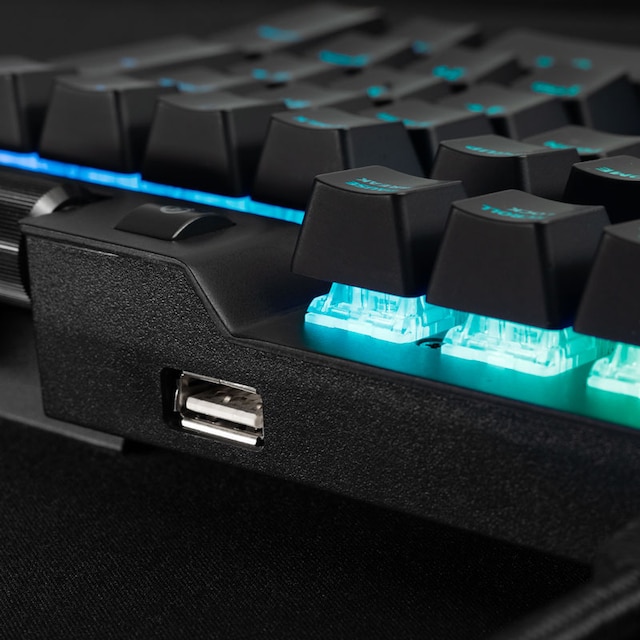 Svive Oberon Svive Oberon