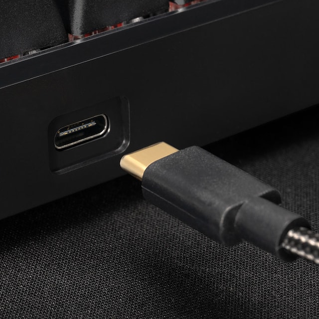 Svive Triton Mini Svive Triton Mini