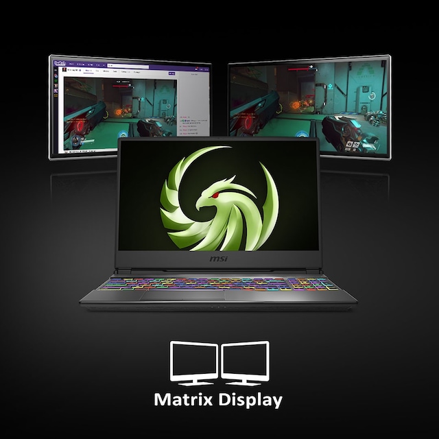 MSI Alpha 15 15,6 "FHD Matrisdisplay