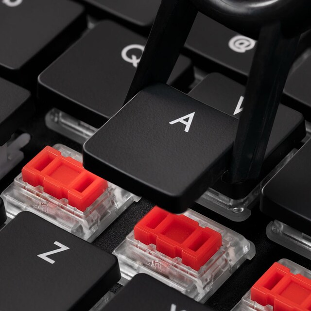 Tangentknappar Tangentknappar