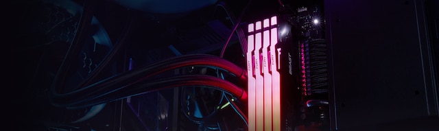 FUrt Beast DDR5 RGB FUrt Beast DDR5 RGB