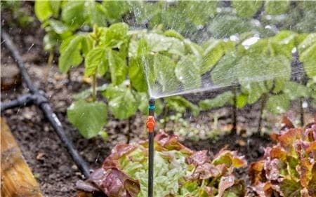 Anpassar sig till växtens tillväxt Anpassar sig till växtens tillväxt