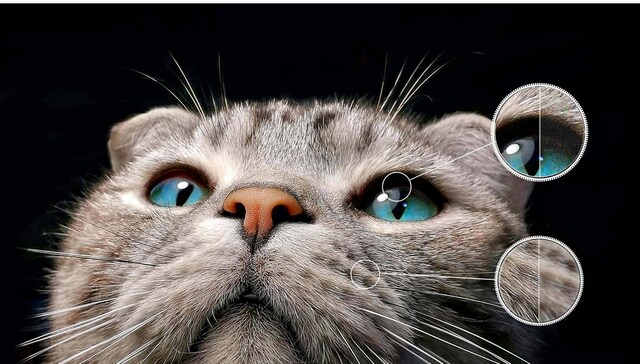 AI-tydlighet AI-tydlighet