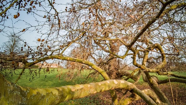 Skott på modul 3 Skott på modul 3
