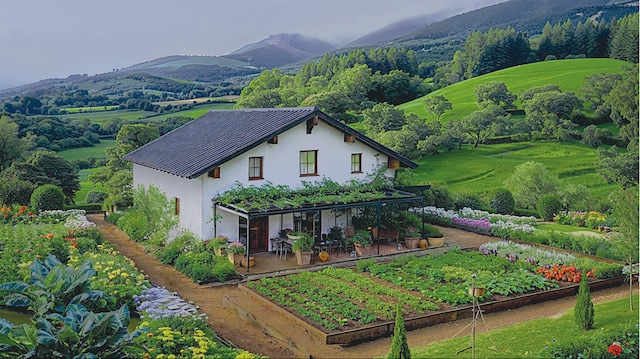 full color NV full color NV